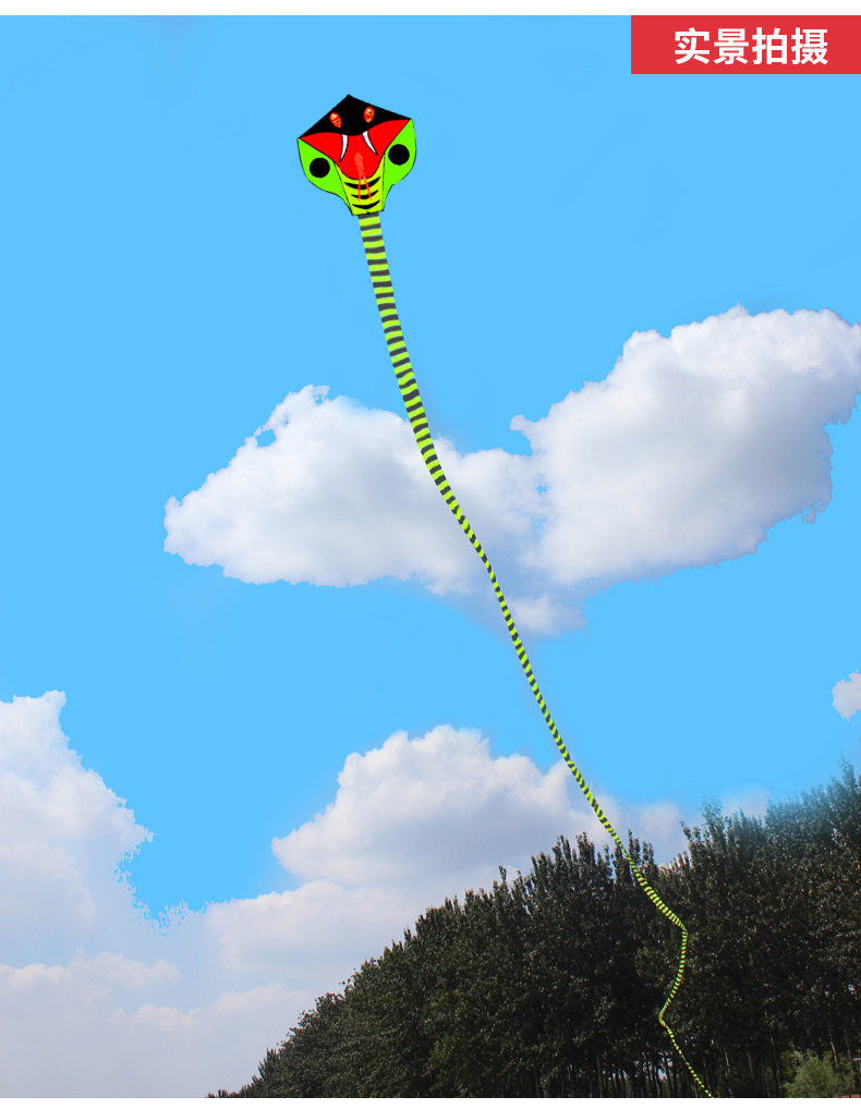 永健潍坊风筝新款大型高档眼镜蛇风筝微风易飞儿童成人大风筝线轮_糖