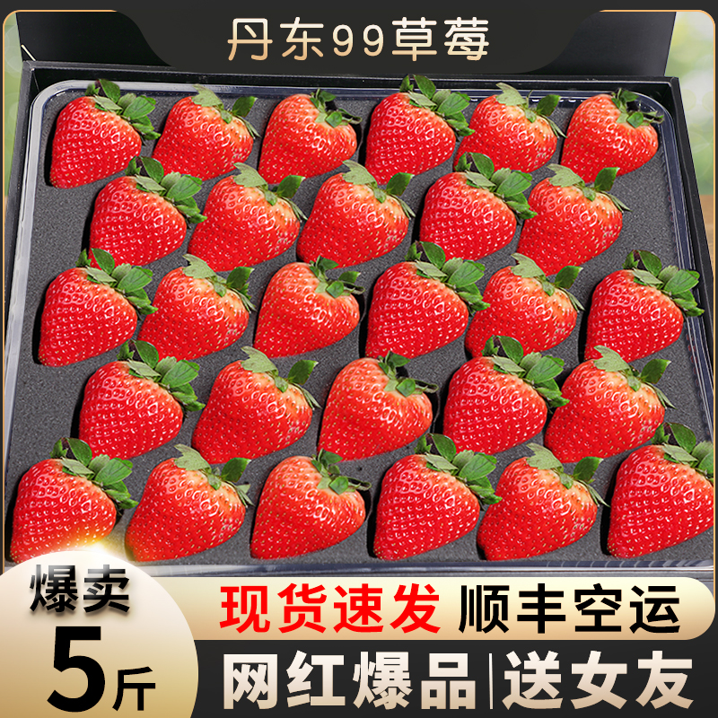 Dandong 99 strawberries 5 catties should be season fresh fruit red face large fruit milk cream 99 strawberry whole box-Taobao