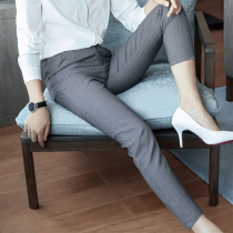 Haren pants womens 2021 new autumn thin thin pants casual small feet trousers Korean version of slim professional pants