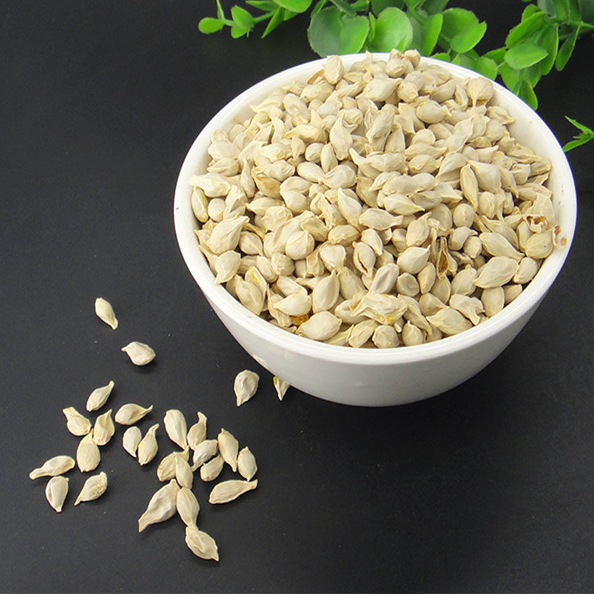 全场满46元包邮【迎辉堂】橘核 桔核 橘子籽 桔子籽 500克