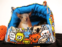 Squirrel supplies ChinChin squirrel parrot supplies four seasons universal hammock nest spring summer autumn and winter universal replaceable mat