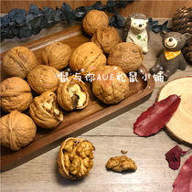 (Rat and you) squirrel staple food squirrel molars walnut Groundhog ChinChin snack raw meal walnut plump