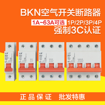 New original LS Power Generation (LG) BKN small circuit breaker C D type 1p 2p 3p 4p