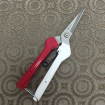 Wang Wuquan stainless steel gardening scissors garden scissors 2104-B fruit tree scissors pruning shears