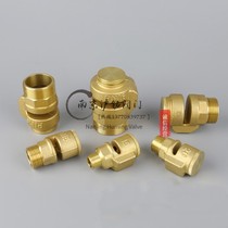 All copper vacuum breaker screw suction valve pipe anti-negative pressure valve DN15-2025 damage valve 4 minutes 6 minutes 1 inch