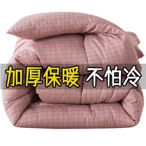 Quilt winter quilt thickened warm cotton quilted by all-cotton students Dormitory Single Spring Autumn Air Conditioning Quilt 1 5m1 8 m by Core
