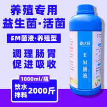 Poultry and veterinary em compound bacteria liquid plant lactobacillus breeding special probiotics rabbit pigeon live bacteria pig cattle chicken raising