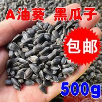 Raw black pearl small melon seed oil sunflower seed parrot bird food feed hamster snack bird food pigeon food 5 pounds