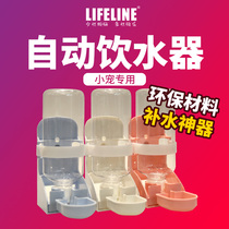 Rabbit hanging water dispenser Rabbit kettle Cat automatic water dispenser Drinking water feeder Pet drinking water supplies