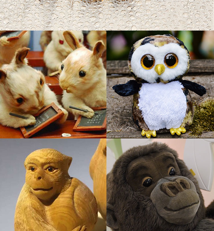 动物标本义眼鸟类玻璃仿真手工眼睛鹰雕竹鸡野鸡食品雕刻仿真假眼