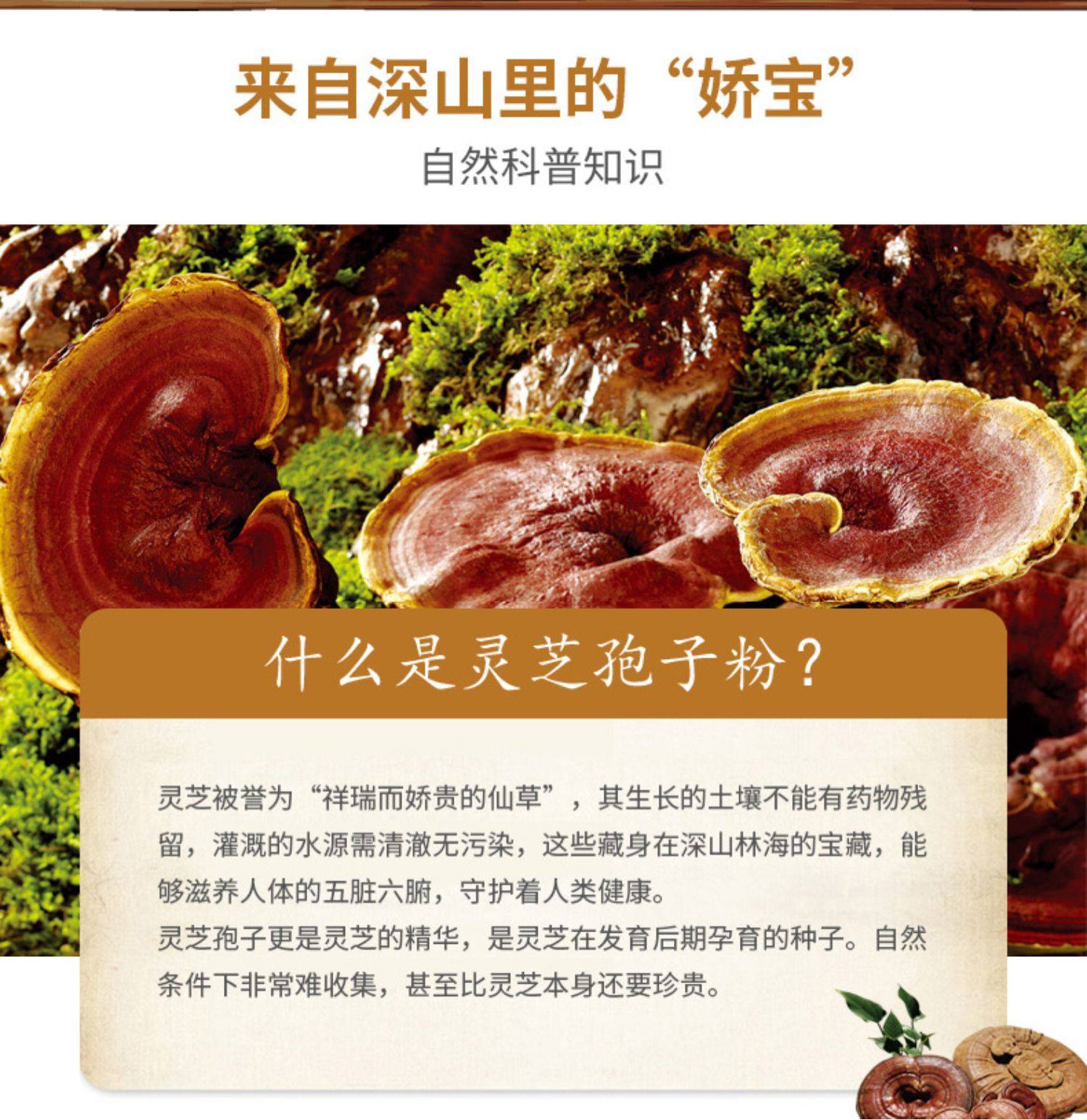 以岭破壁灵芝孢子粉胶囊03g粒60粒增强免疫力