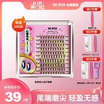 Mr Wish wish Sir Anchovies Mixed Nature Emulation Beginners Grafted Sandwich Fake Eyelash Single Cluster