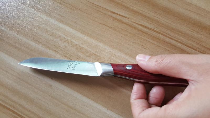 进口不锈钢水果刀小中号25把包邮