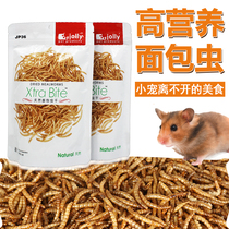  Jolly Jolly Bread Worm Dried JP36 Hamster Three-line Pudding Golden Bear Snacks Hamster Snacks 60 G