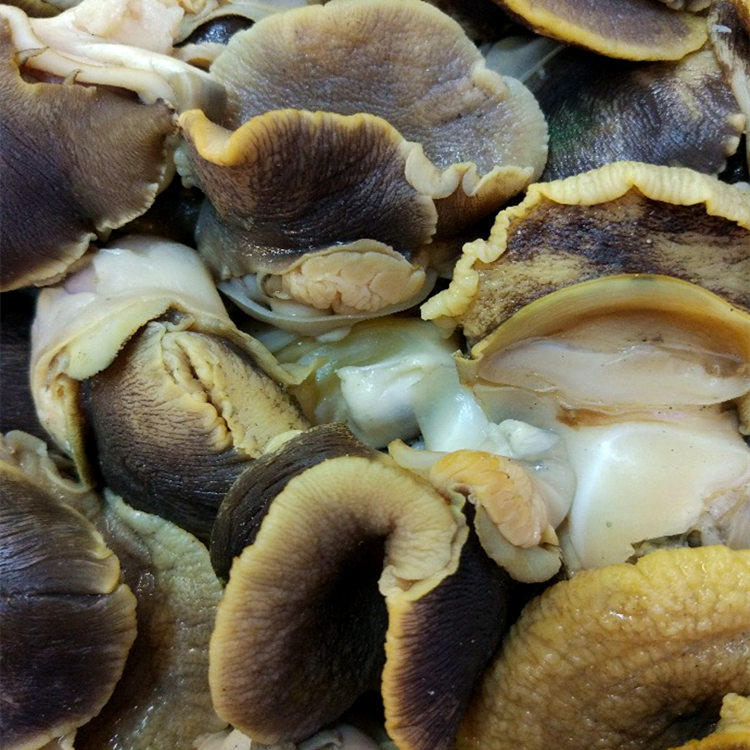 丹东特产新鲜香螺肉冰鲜冷冻玉螺肉冻香螺肉纯海螺肉海鲜熟冻贝_7折