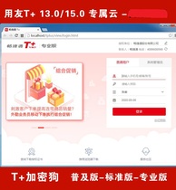 UF T 13 0 15 0 Universal Standard version Professional version U813 0 12 51 Remote installation and maintenance