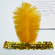 Indian head wearing stage performance props minority accessories ostrich feather headband dance performance hair accessories