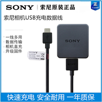 Original Sony Blackcard 7 Camera Rx100m6 Charging Cord Micro Single Camera Connecting Computer Transmission Cable Charger Head AC-UB10 Adapter Wx300