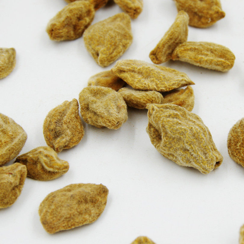 中药材新货碧桃干 瘪桃干 桃奴 阴桃干毛桃 精选碧桃干500克 包邮