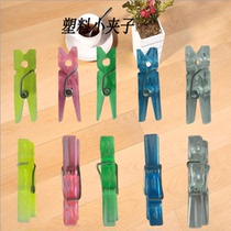 100 transparent colored plastic small clips 0 5*0 8*3 2cm student test paper ticket decorative clip
