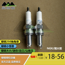 Silver steel size mini side three mountain king small Monster motorcycle parts original imported NGK Spark Plug