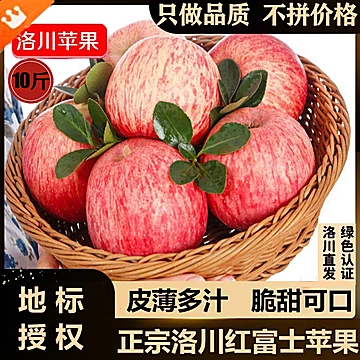正宗陕西洛川苹果10斤[10元优惠券]-寻折猪
