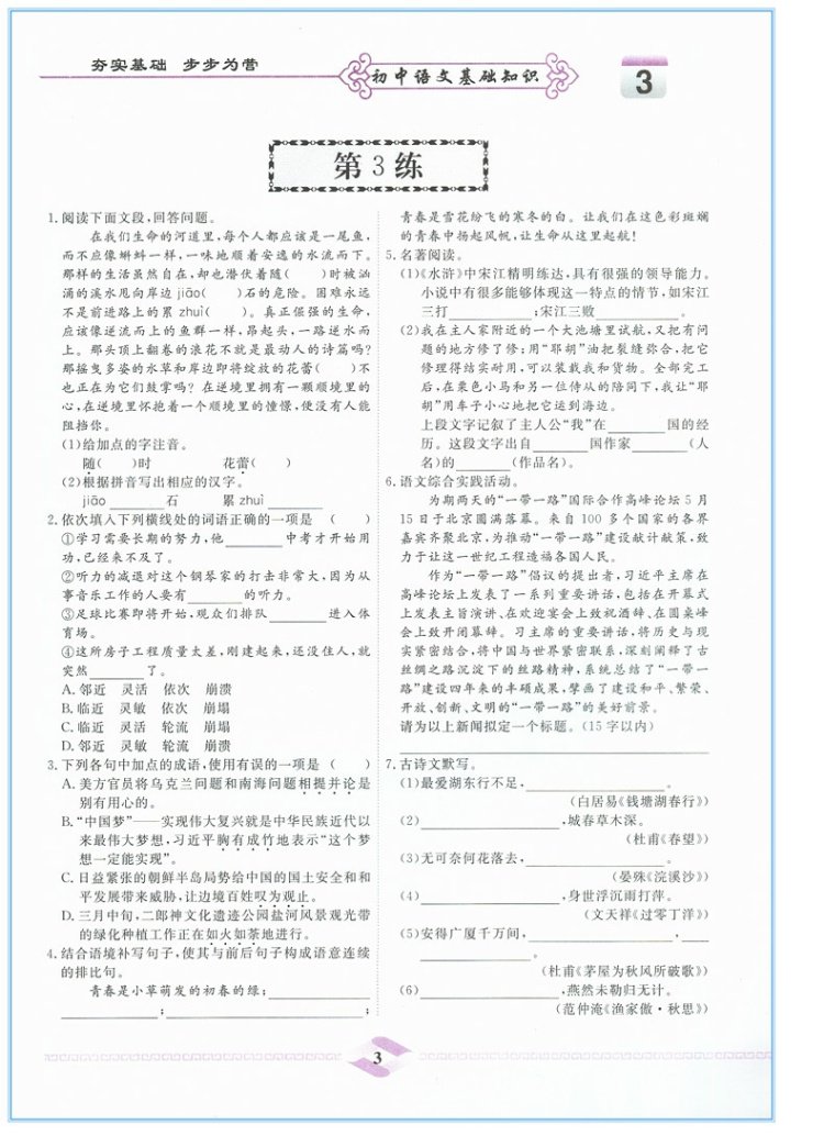买一赠二 2018一飞冲天初中语文基础知识积累