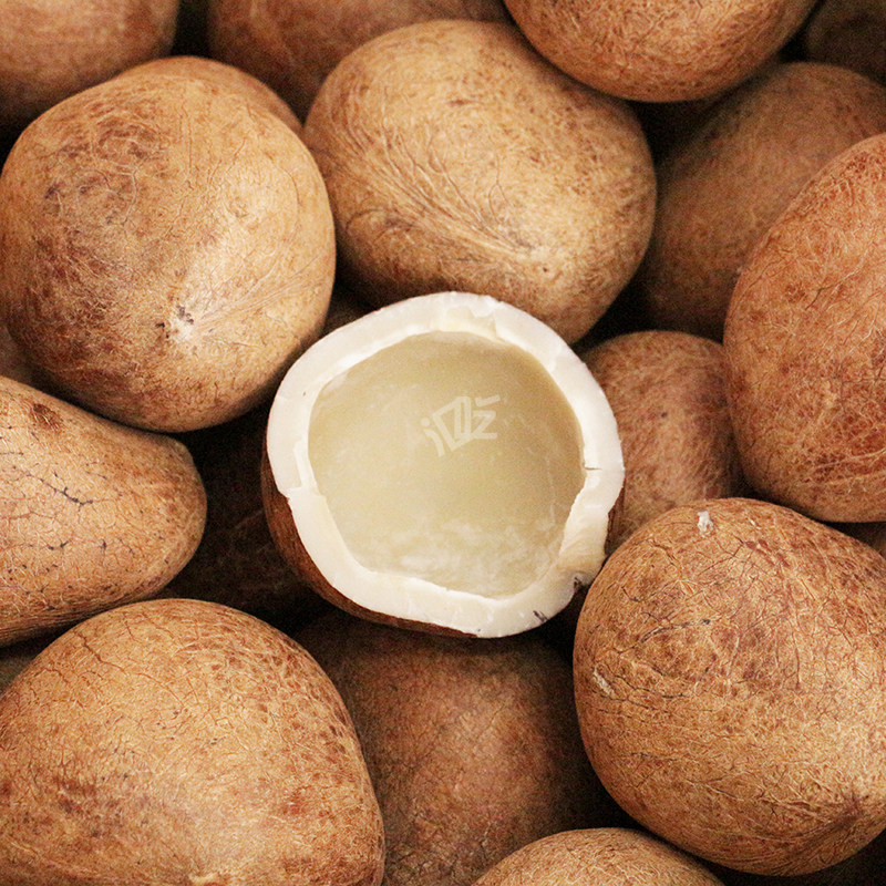 印度椰子皇王 新货大海椰皇煲汤食材 切开发货更新鲜 500g包邮