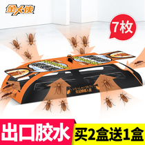 Cockroach house medicine kitchen powerful super capture removal kill small cockroach buster artifact Household indoor adhesive board