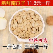 Inner Mongolia specialty products 21 years new selection of pumpkin seeds fried goods snack food snacks 500g bulk pumpkin seeds