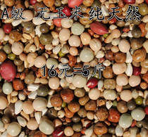 A- grade pigeon grain no corn pigeon feed bird food pigeon ornamental pigeon meat pigeon health care sand young pigeon feed grain