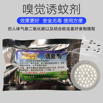 Mosquito attractant Household bionic bedroom baby mosquito bait inducer Auxiliary mosquito trap mosquito killer lamp special mosquito attractant