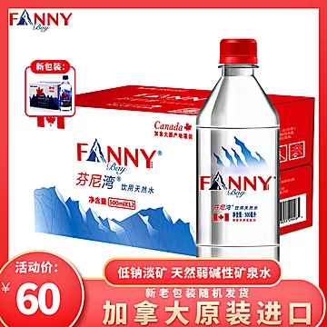 加拿大芬尼湾冰川进口天然饮用水500ML*12瓶[30元优惠券]-寻折猪