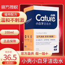 Small shell such as the water cat mouthwash anti-bad breath drinking dog mouth cleaning edible Tartar