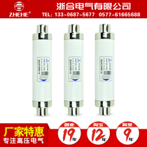 Fuse XRNT-10KV SFLAJ-12 50-100a Transformer Protection high voltage current limiting fuse