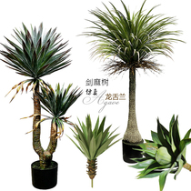 Simulation of desert fleshy agave European sisal leaf aloe indoor floor courtyard landscaping green plant potted