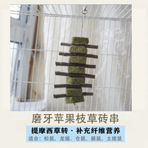 Grass brick skewer squirrel hamster flower Bear rabbit Chinchilla black tailed marmot guinea pig Timothy