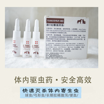 Squirrel anthelmintic drugs to prevent long-term diarrhea soft coccids