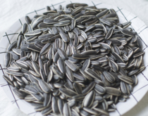 Big melon seed hamster demon king golden flower squirrel staple food food snacks eat small pet feed supplies molars