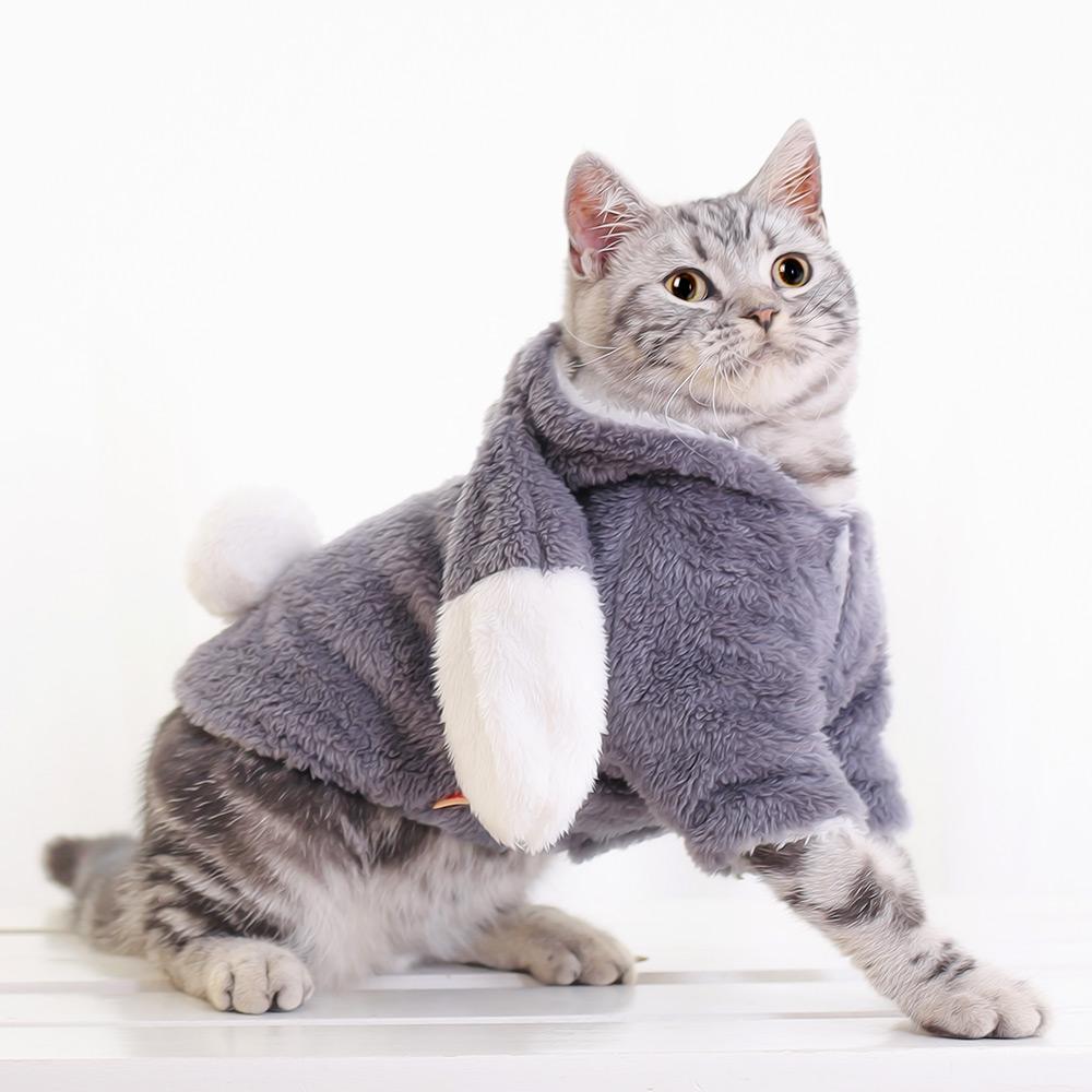 猫咪衣服秋冬保暖衣狗狗衣服泰迪猫猫幼猫加菲
