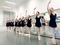 Beauty Pat dance ballet special lace lotus leaf skirt