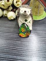 Bi Jincai natural Canadian spotted gems with single-sided bare stone can be inlaid with stained snail fossils