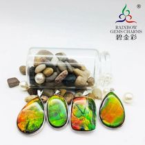 Bi Jincai Natural Canada 925 Silver Spot Color Stone Pendant Snail Fossil with Resin Film