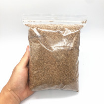 Beetle Jelly Flat Armor Spade Armor Spade Beetle Humus Insect Pet Larva Food spot