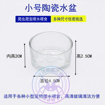 Climbing pet transparent water basin Food basin Spider Scorpion palace guard clean and convenient landscaping glass Reptile glass basin