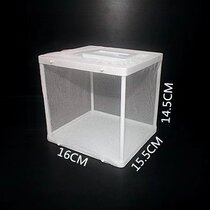 Mantis feeding box Cage Mantis hatching box Beetle feeding box Feeding box Climbing pet box Climbing pet box