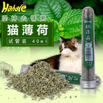 Mixed batch 68 yuan American catnip cat grass pet snacks cat mint leaves haircut ball 40ml