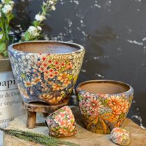 K01 11th (No. 121-125)(MINI New) Kim sisters South Korean fleshy