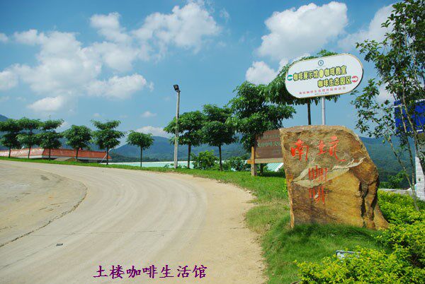 福建南靖土楼特产南坑咖啡三合一 滤泡式 二合一速溶咖啡小包装