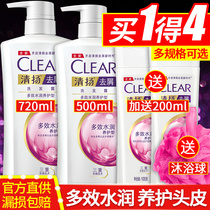 Qingyang shampoo lotion shampoo cream fragrance control oil anti-dandruff anti-itching flagship store official family suit for men and women